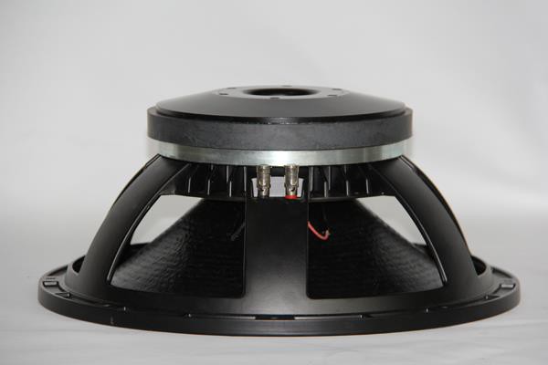 15 Inch 500W RMS Pro Audio Loudspeakers Subwoofer